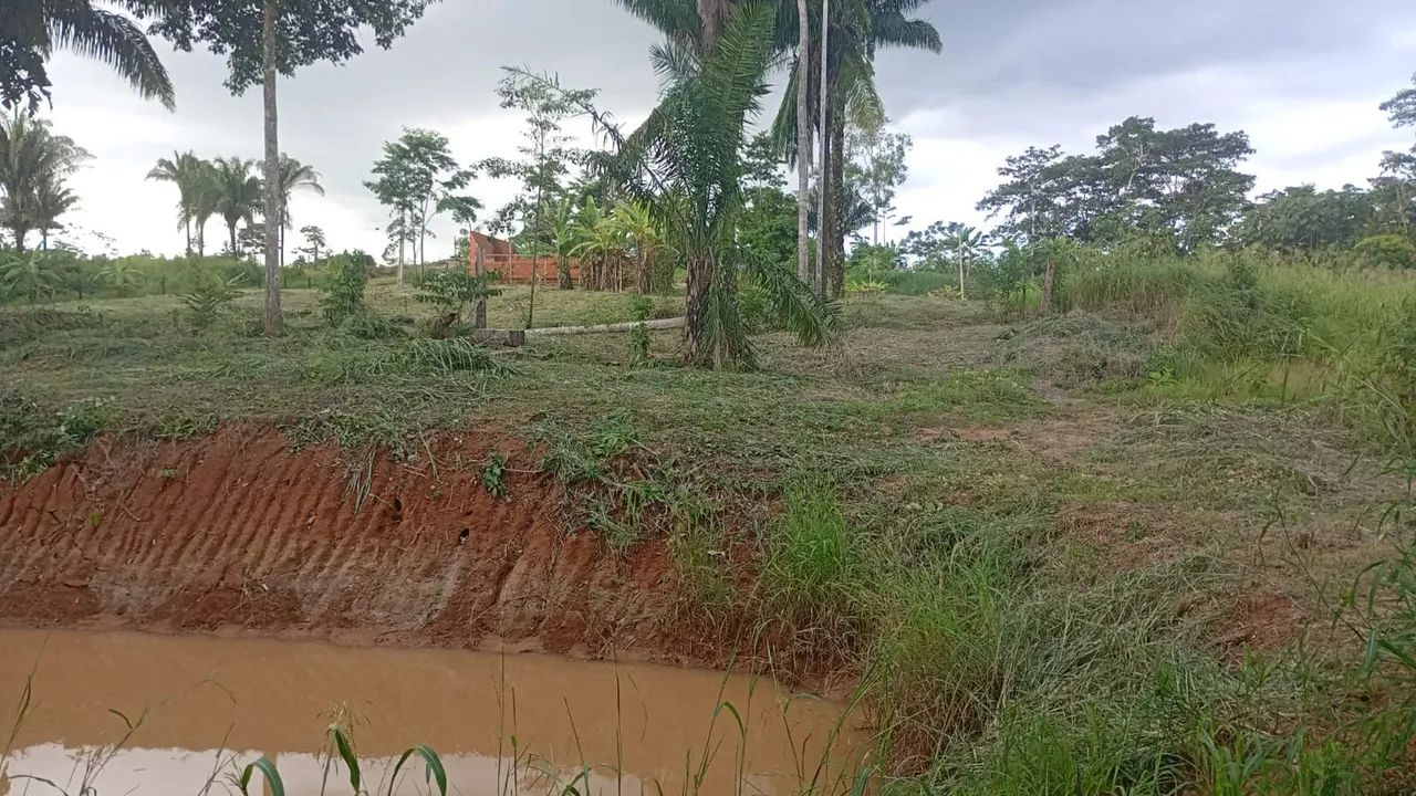 Chácara  - Foto 3