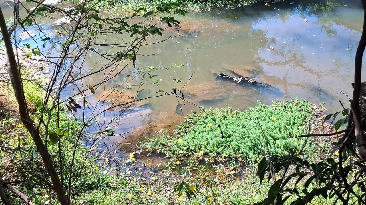 Vende-se chácaras no povoado dos Penhas - Pará de Minas  - Foto 5