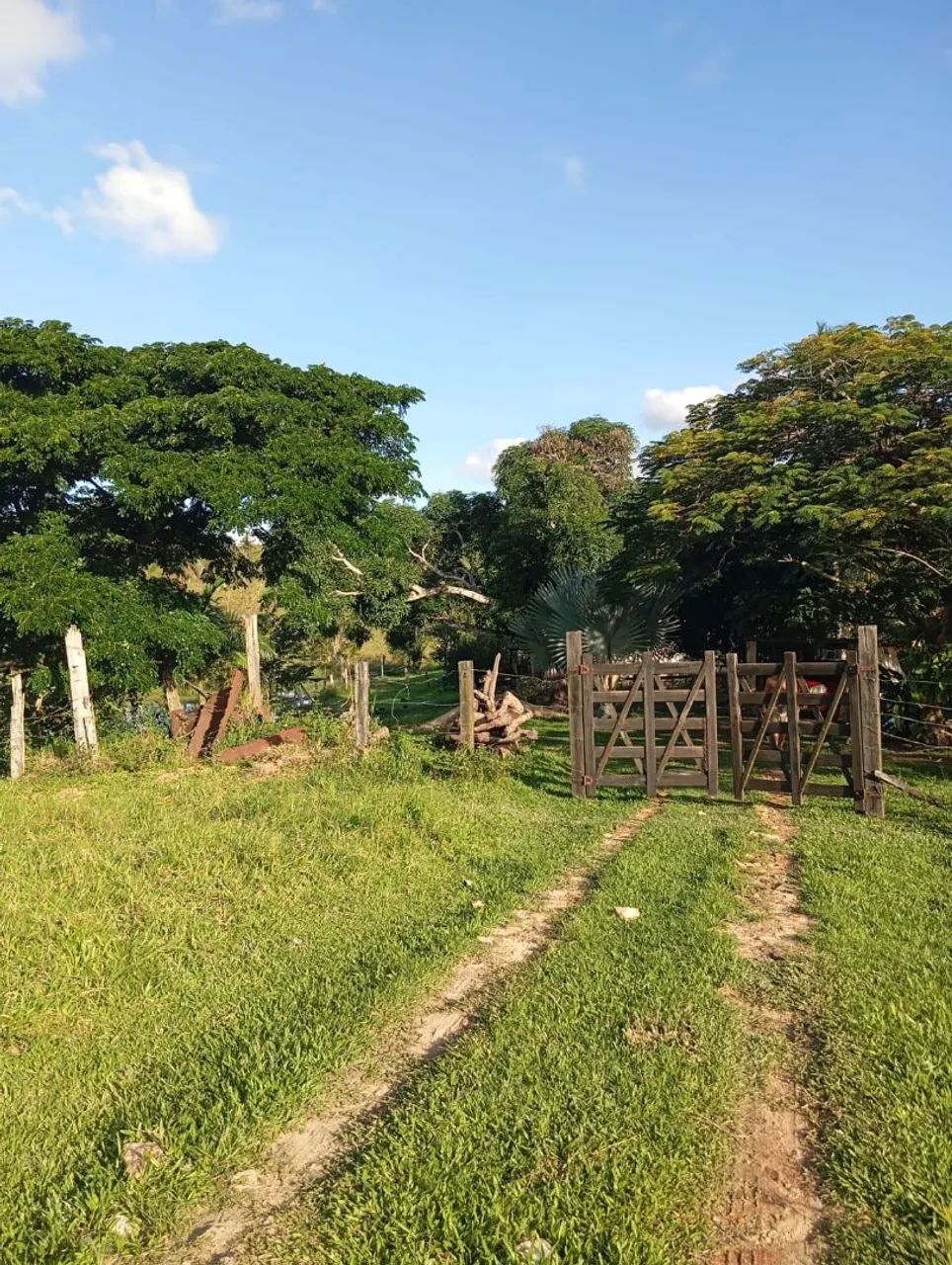 Fazenda a venda - Foto 2