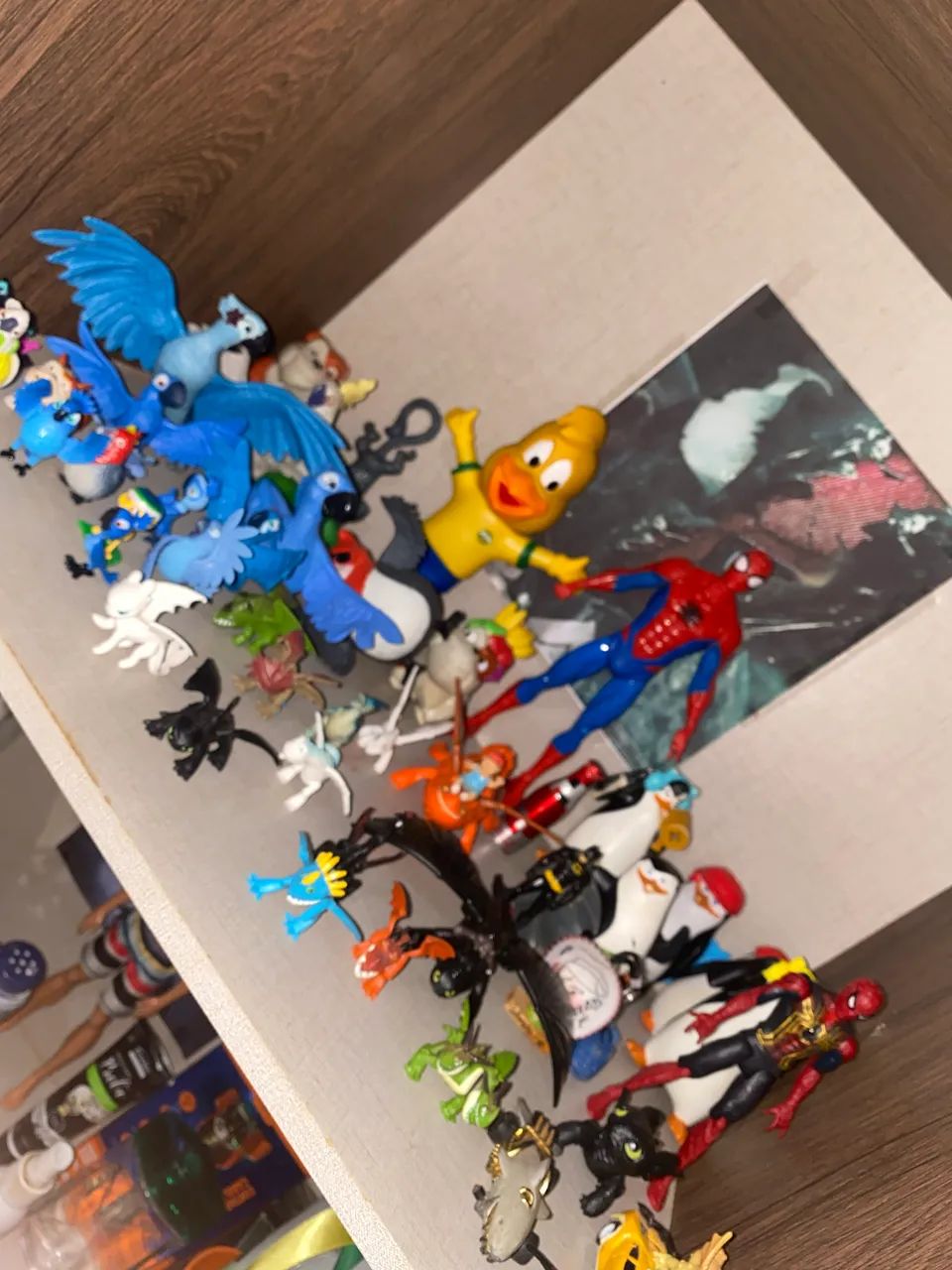 Doação responsável  - Foto 4