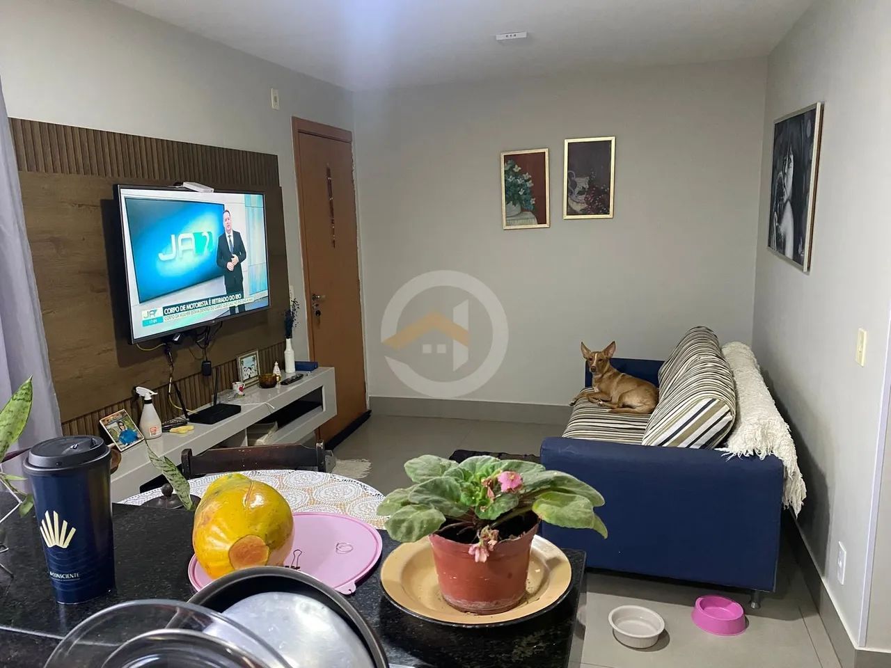 Apartamento no Parque Gran Império - Foto 4