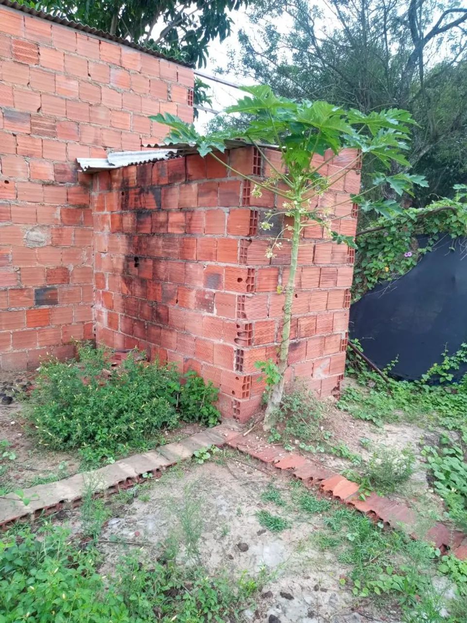 Casas e terrenos em Sergipe 