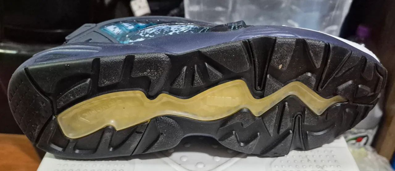 Puma Disc dos EUA