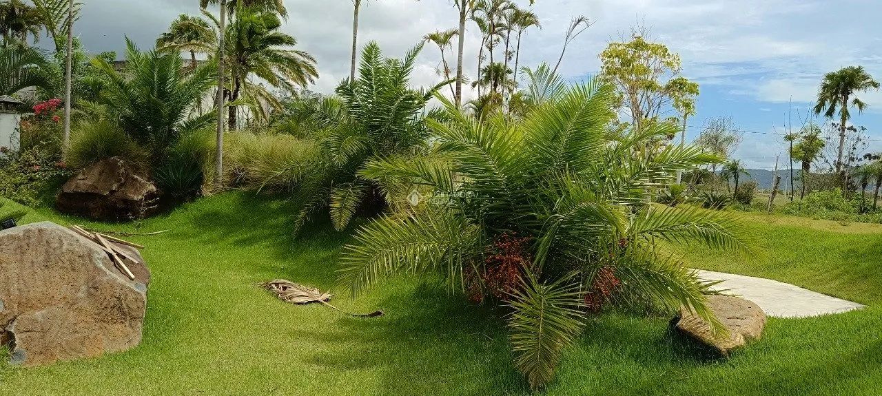 Terreno no Real Parque de 450m² - Foto 4