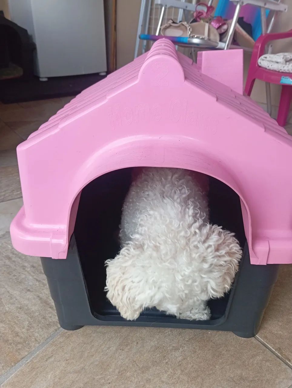 Casinha para cachorro  - Foto 2