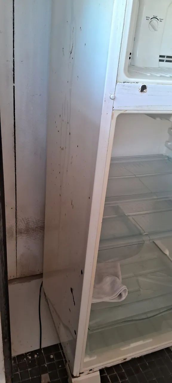 Geladeira Electrolux 