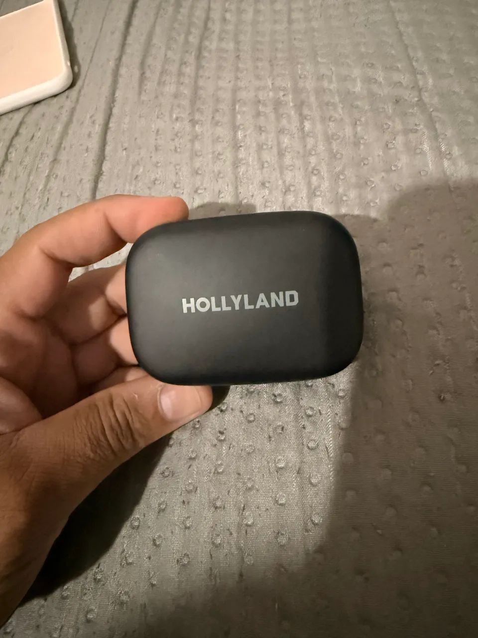 LAPELA HOLLYLAND LARK A1