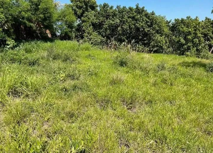 Foto - Piracicaba - Nova Suiça