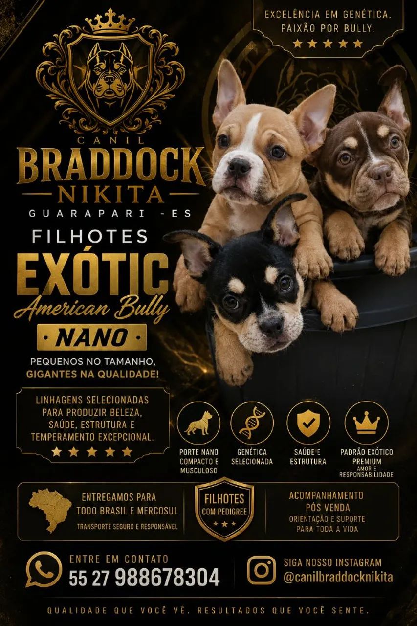 Exótic American Bully Nano 