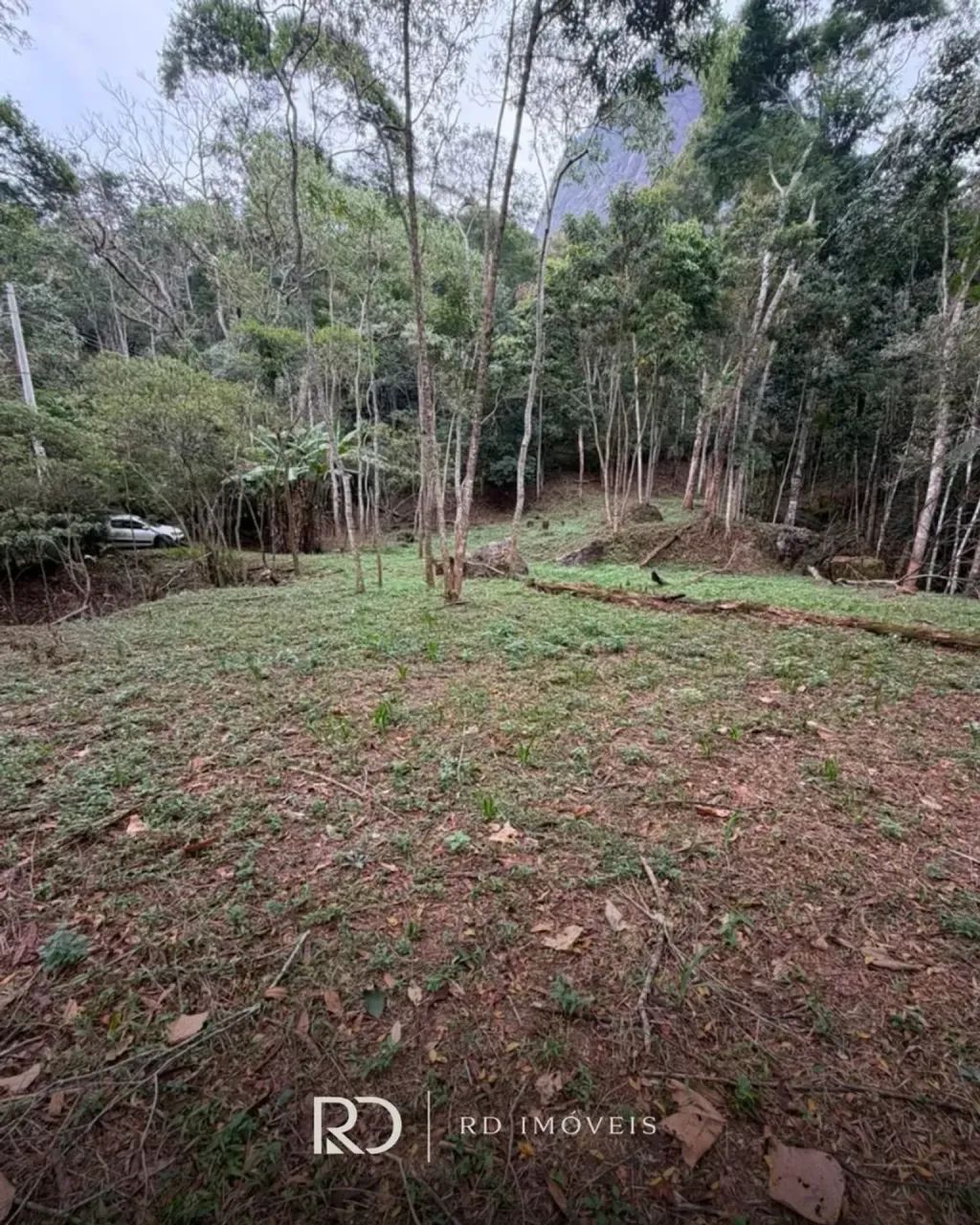 TERRENO EM ARARAS - PETRÓPOLIS - Foto 3