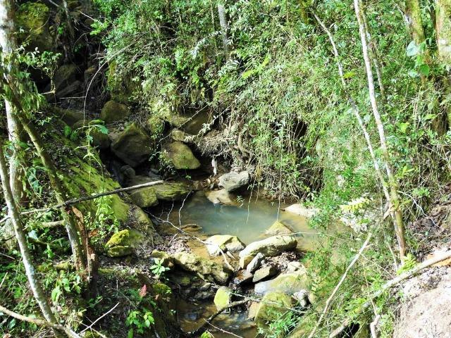Alfredo Wagner , Serra Catarinense 8,0 hectares - Foto 5