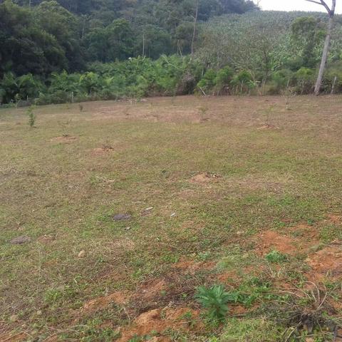 Linda área para Sítio, 10.000 m2 em ótima localização, pronto para construir - Foto 3