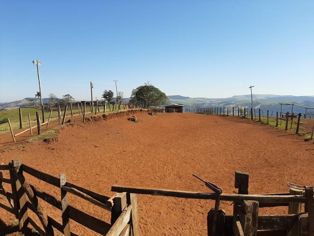 Fazenda de 990 Alqueires ( Escritura Pública) 1 matrícula e com GEO.89 km de Guarapuava PR - Foto 11