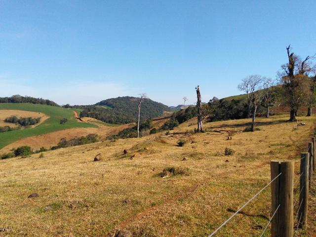 Fazenda de 990 Alqueires ( Escritura Pública) 1 matrícula e com GEO.89 km de Guarapuava PR - Foto 17