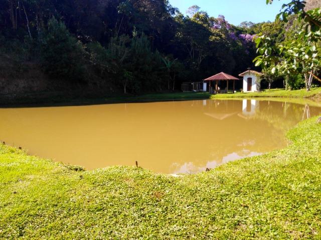 Sítio com 20.000 m²,casa rustica,3 belos na propriedade - Foto 5