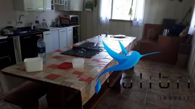 Sítio de porteira fechada em agudos do sul - pr - Foto 2