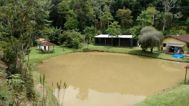 Sítio com 20.000 m²,casa rustica,3 belos na propriedade - Foto 7