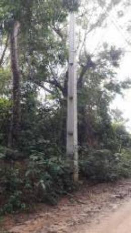 Saquarema - Terreno Madressilva - Rio Seco - 10.139m2 Próximo Km 64 Amaral Peixoto - Foto 4
