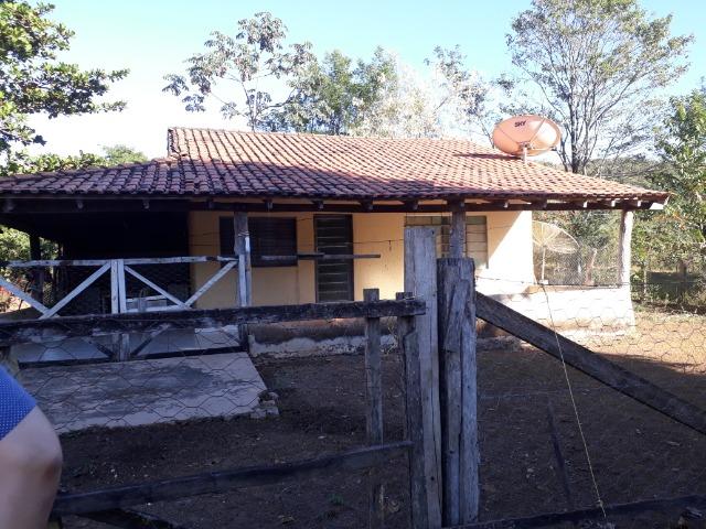 Fazenda com 866 Hectares em Santo Antonio apos a Agrovila das Palmeiras - Foto 10