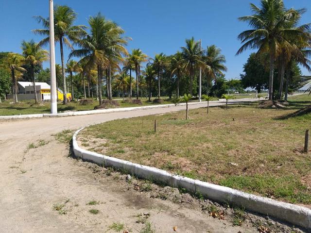 Jô - Lotes - medindo 200 m² - Foto 4