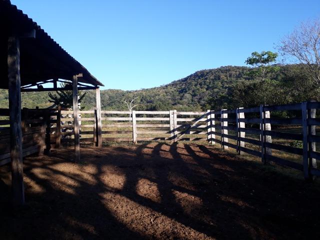 Fazenda com 866 Hectares em Santo Antonio apos a Agrovila das Palmeiras - Foto 7