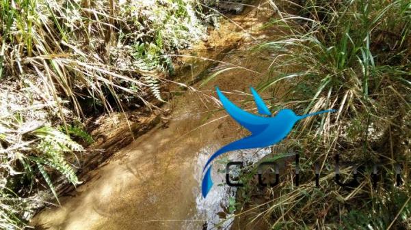 Linda área para lazer ou preservação em agudos do sul - pr - Foto 11