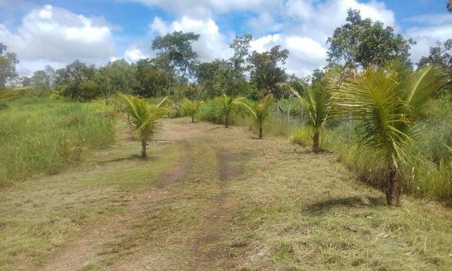 Chacara a venda a 20km de Cuiaba - Foto 3