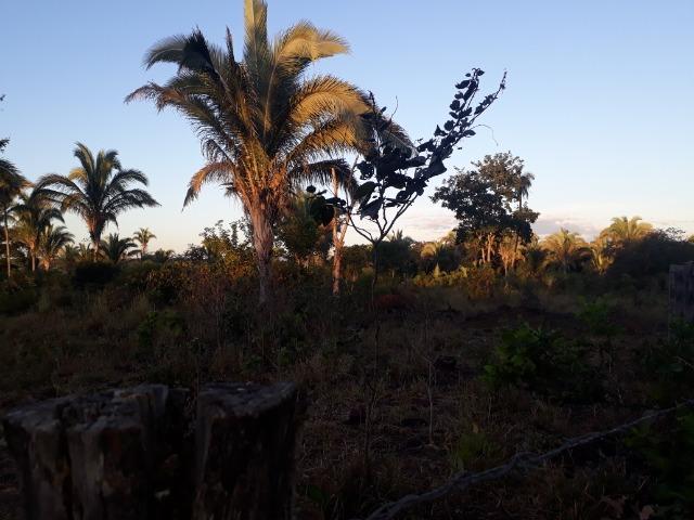 Chácara de terra boa a 9 km de Acorizal - Foto 10