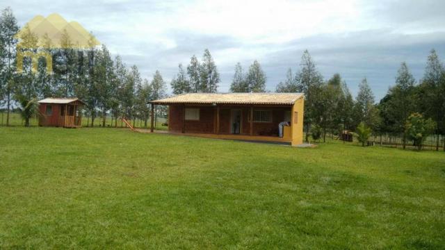 Sítio com 1 dormitório à venda, 96800 m² por R$ 590.000,00 - Zona Rural - Martinópolis/SP