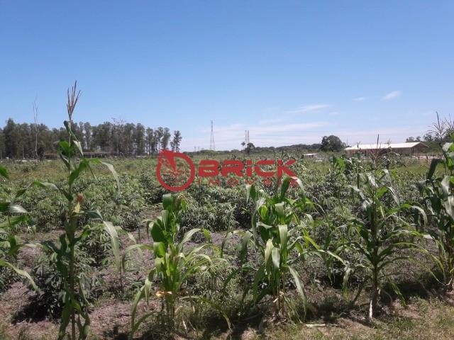 Terreno com 10 mil m² em várzea alegre- guapimirim. - Foto 6