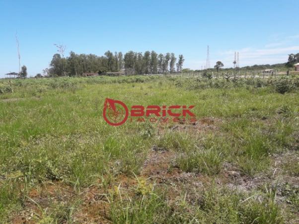 Terreno com 10 mil m² em várzea alegre- guapimirim. - Foto 2