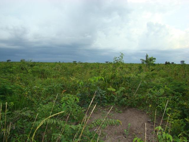 Fazenda com 1.006 hectares, com sede, aberta, para soja e milho