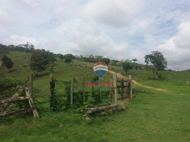Re/max chave de ouro vende fazendas nas margens do rio buranhém - Foto 12