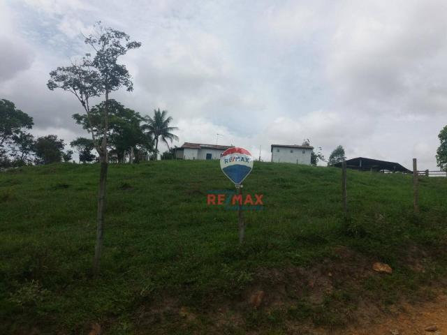 Re/max chave de ouro vende fazendas nas margens do rio buranhém - Foto 19