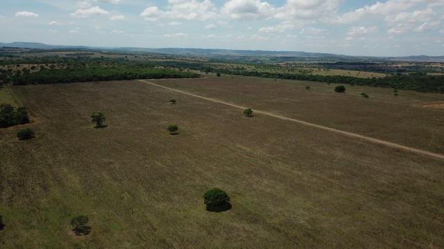 Fazenda Extra em Hidrolândia-GO. 40 km Goiânia - Foto 2