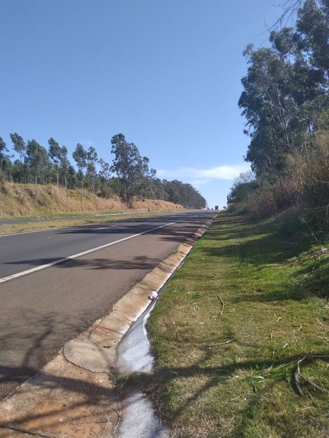 Chácara 3 alqueires em  Nova Esperança-Pr , vende - Foto 5