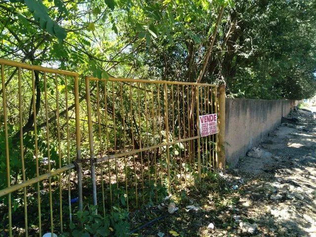 Lote para aluguel, Três Andares - Teresina/PI - Foto 3