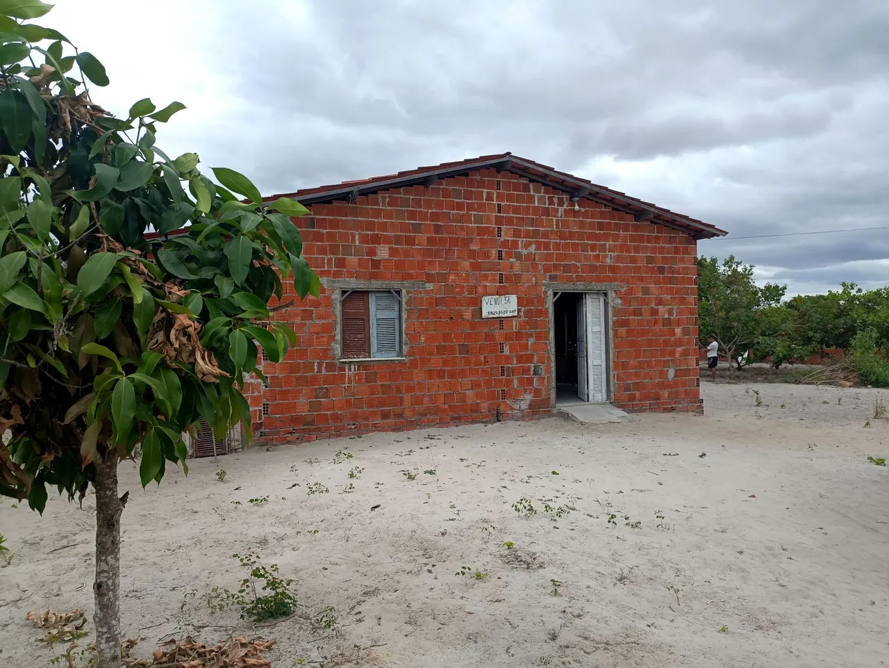 Sítio em horizonte Vendo ou troco