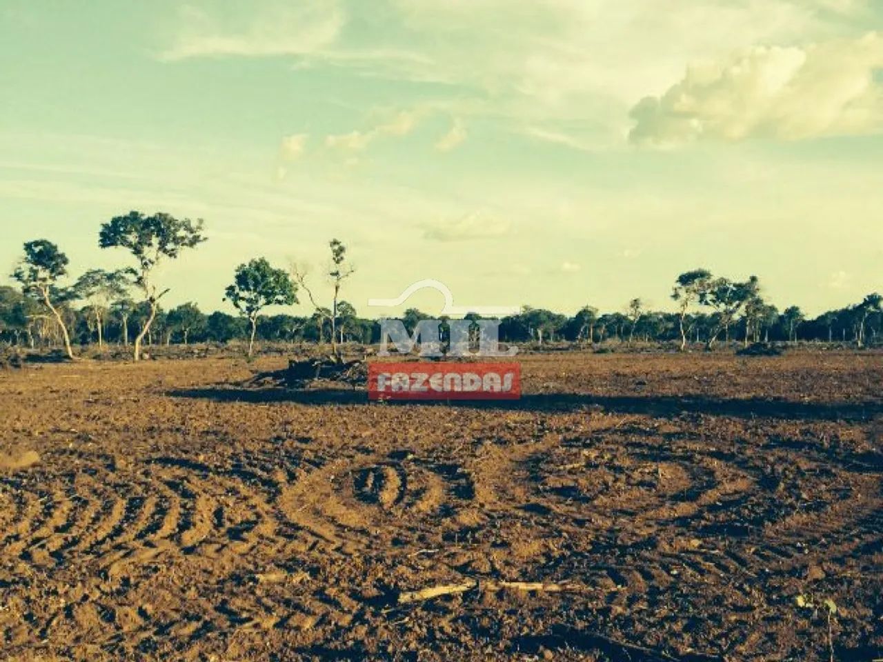 Fazenda Beira Tocantins 1.000 Alq. (4.840 Há). p/ Soja - Foto 4