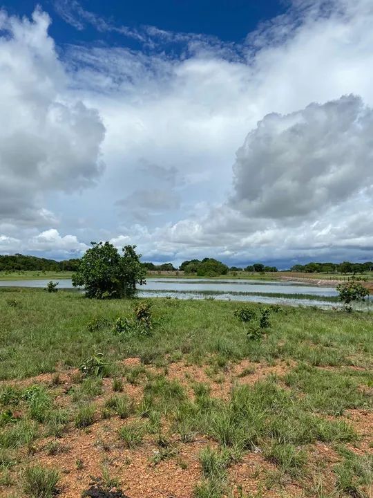 foto - Boa Vista - Caranã