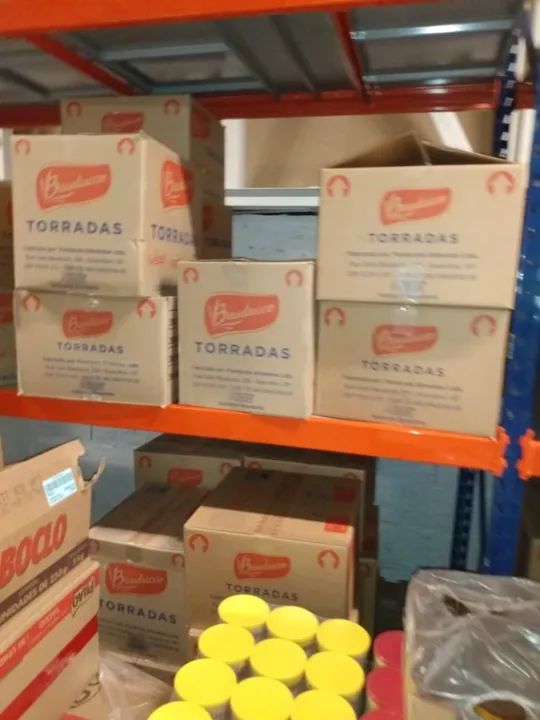 Mini Porta Pallets Usados - Foto 4