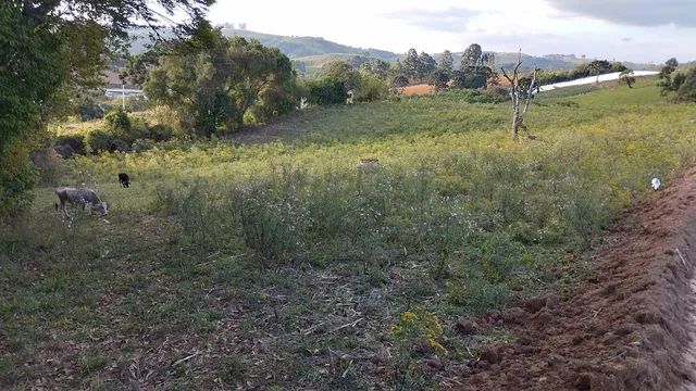 Exelente terreno .3.500m² - Foto 2