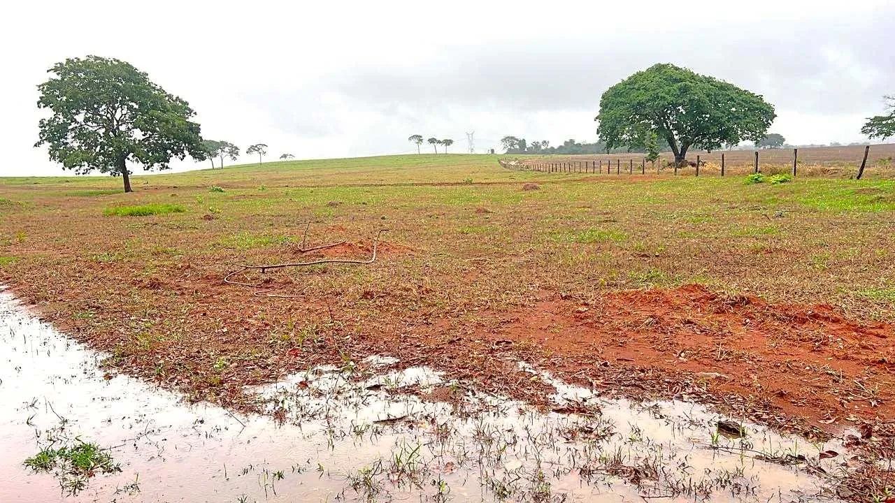 Fazenda própria pra café ?  - Foto 3