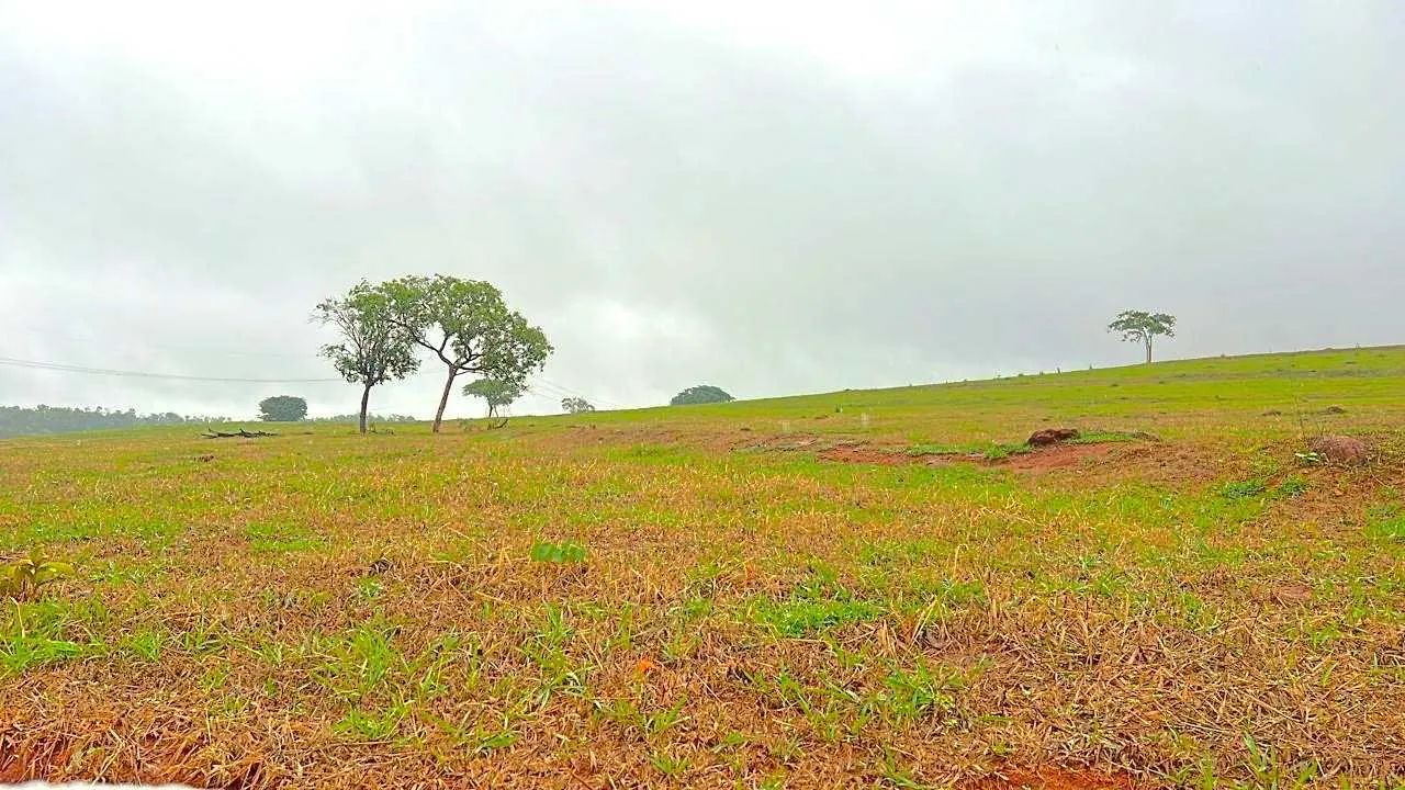 Fazenda própria pra café ?  - Foto 2