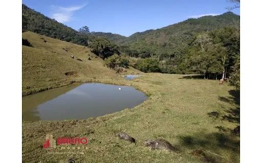 Sitio, bairro Betânia, Angelina - SC - Foto 5