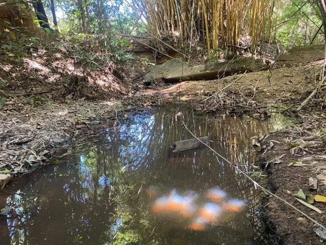 Chácara 1.350 m² com um cômodo e córregos nos fundos Jaboticatubas. - Foto 5