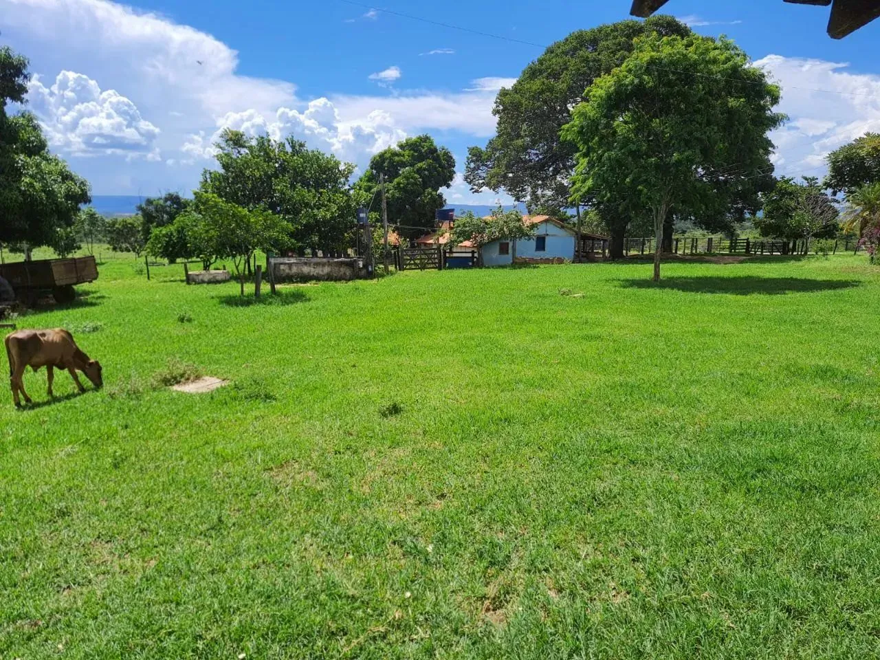 Venda Commercial / Agricultural Santa Bárbara MG