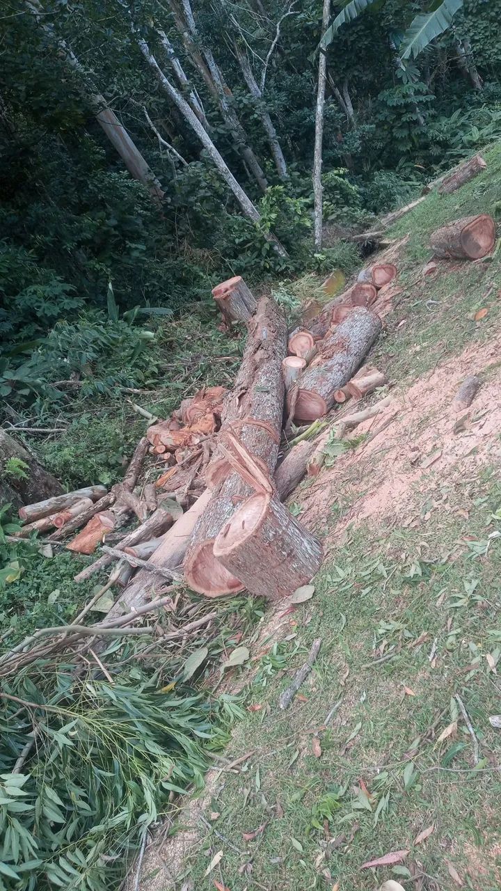 Retirada de entulho madeira moveis usados - Foto 2