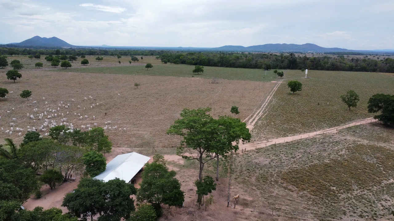 Fazenda c/ 174he, aprox. 110he formados, 68km de Cuiabá-MT