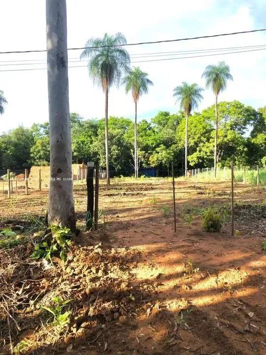 Pesqueiro para Venda em Aquidauana, Camisão - Foto 4